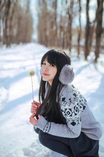 成全免费高清在线观看电视剧